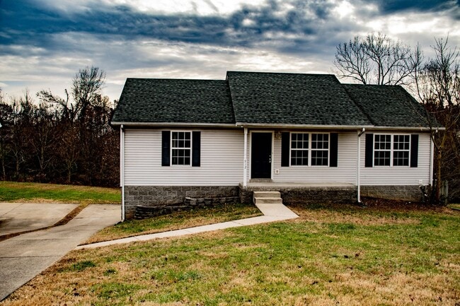 Building Photo - 3 Bedroom Pet Friendly Home For Rent In St...