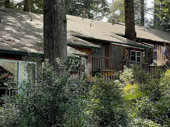 Photo - House in the Trees