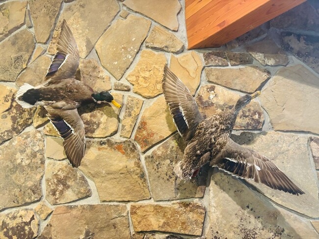 Photo - Big Sky Furnished Condo