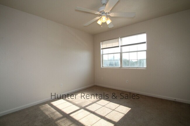 Photo - Aztec Trace!