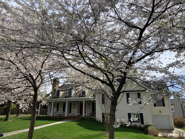 Front of house, idyllic setting on quiet street - 5804 Searl Ter Unit Private Primary Suite