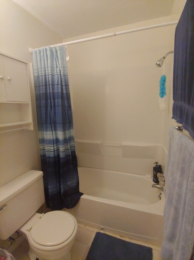 2100 Jefferson Park Ave Unit 3