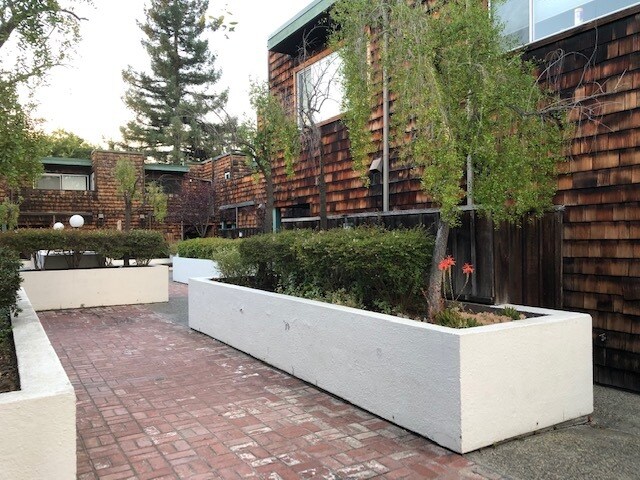 Courtyard - 645 Forest Ave Townhome
