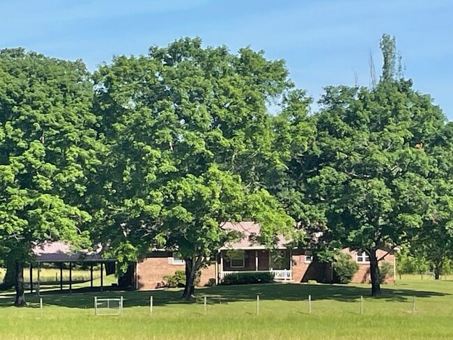 Building Photo - SINGLE FAMILY HOME