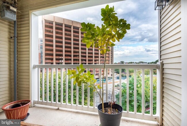 Photo - 4551 Strutfield Ln Unit 4419