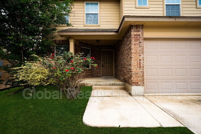 Photo - 469 Eastern Phoebe