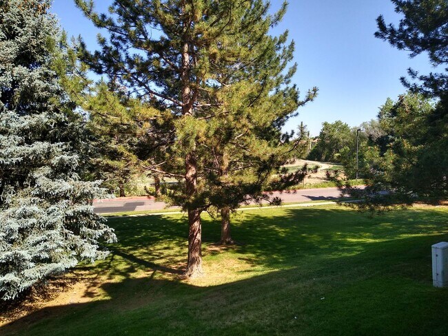 Photo - Awesome 2 Bedroom 2 Bath Condo w/ Garage P... Unit 103