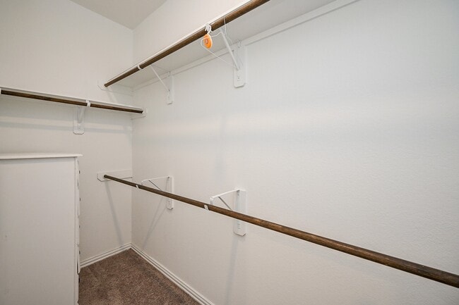 Photo - 12503 Highgrove Springs Dr