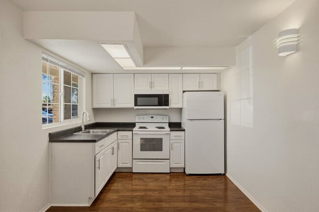 45 N Phyllis-109