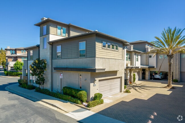 Alternative View - Frame & Focus