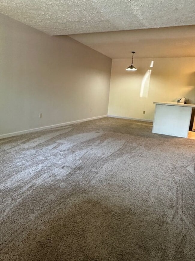 Photo - 1 Bedroom, 1 bath Ground level Apt, Kingsp...