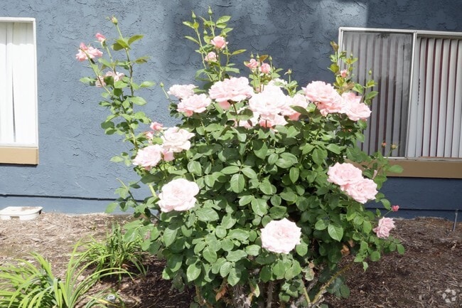 Photo - Mill Creek Apartments