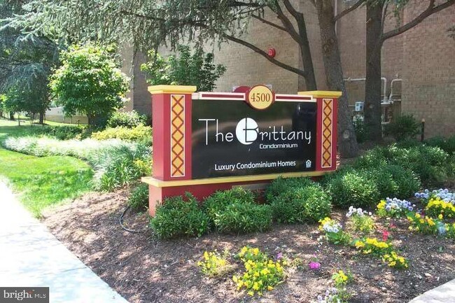 Building Photo - 4500 S Four Mile Run Dr Unit 133