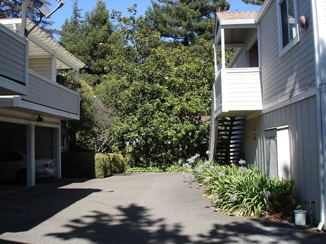 Photo - 487-489 Sonoma Ave