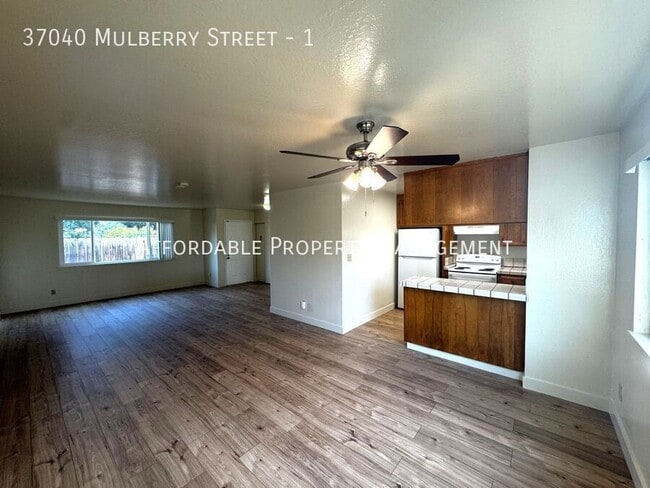 Photo - 37040 Mulberry St Unit 1