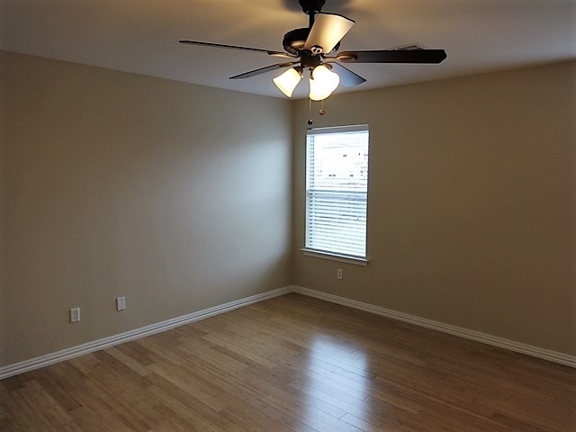 Photo - 317 Phillips St