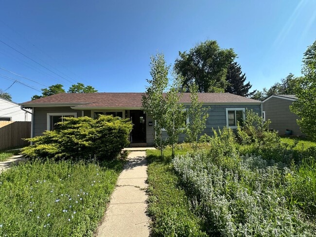 Great Location! Charming Ranch in Universi... - Great Location! Charming Ranch in Universi... House
