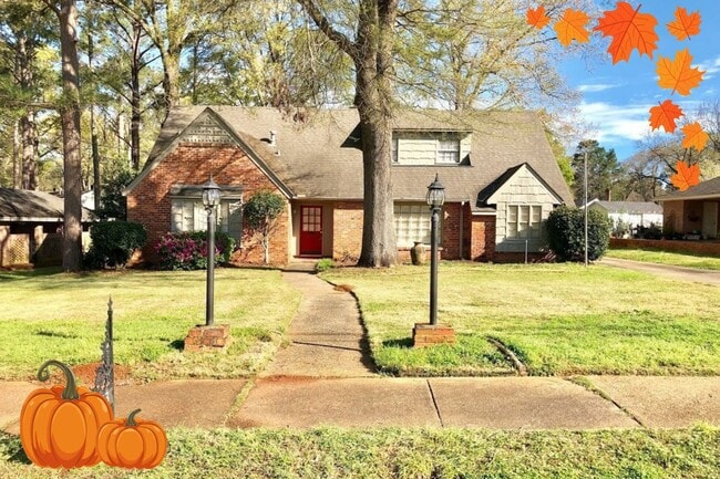 Building Photo - Gorgeous Interiors in this BONUS SPACE + 4...