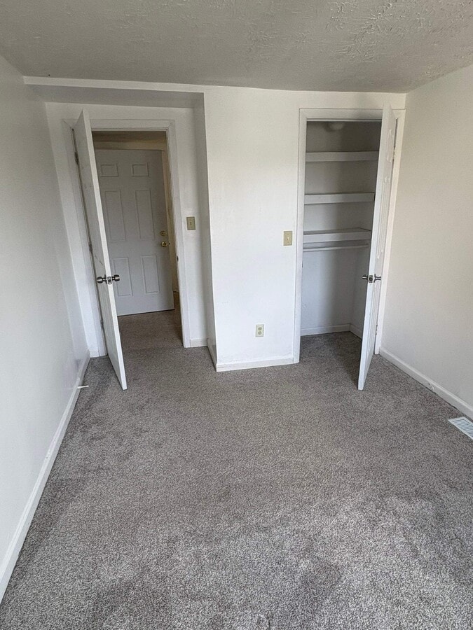 Photo - 463 N Lasalle St