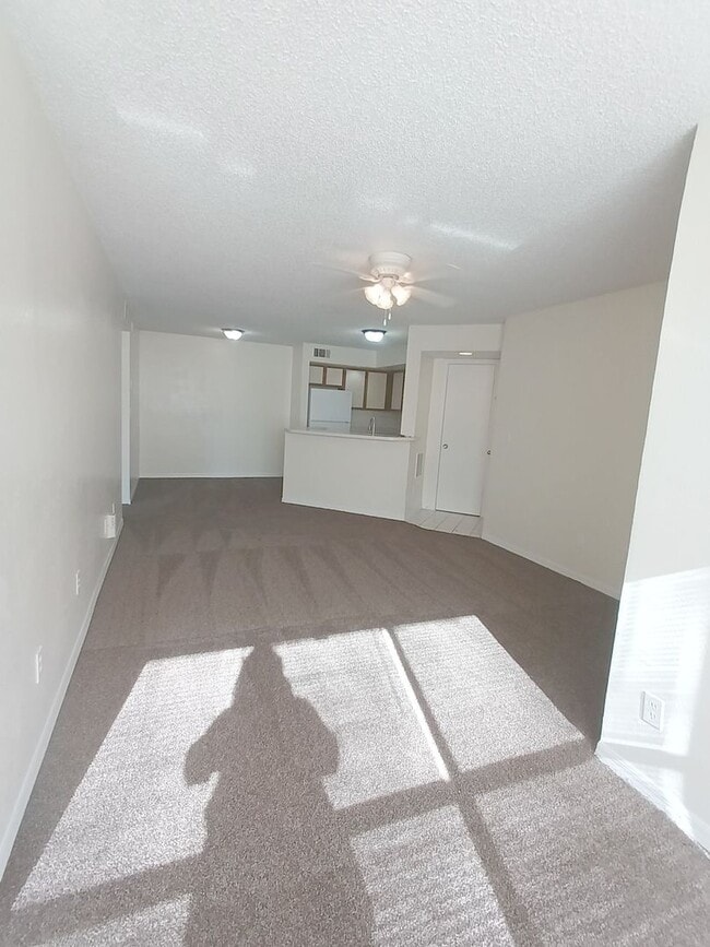 Photo - V1113 Unit V1113