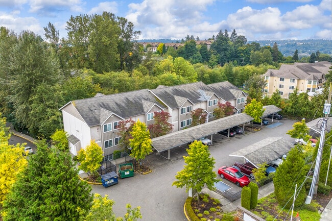 Aerial - Springbrook Reserve