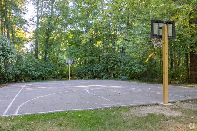 Basketball Court