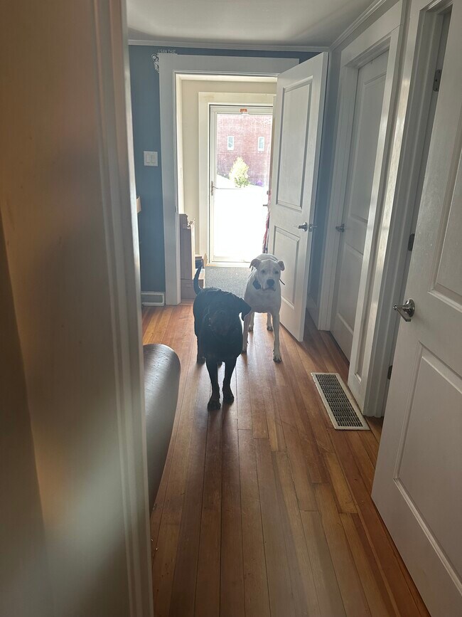 Photo - 63 Haddon Ave Unit 63 Haddon Ave #2