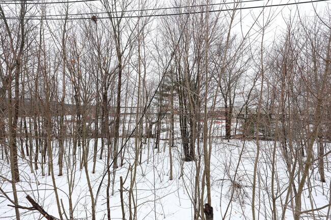 Photo - 65 Clifford St Unit 65 Clifford St -  2