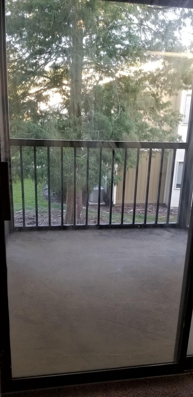 Photo - 13367 Arbor Pointe Cir Unit 201