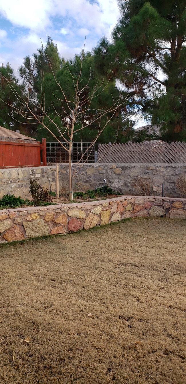 Photo - 11526 Tony Ponce Dr