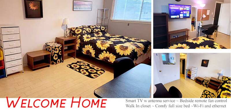 Photo - 10400 Hammerly Blvd