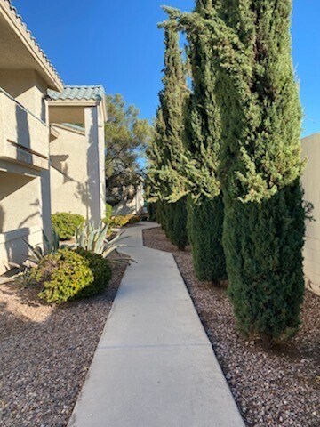 Photo - 3440 Lindell Rd