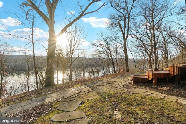 Photo - 11540 Springridge Rd