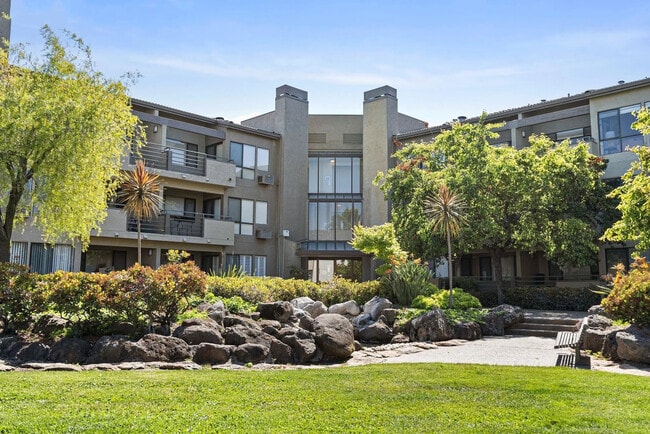 Building Photo - 39078 Guardino Dr Unit 312 Rental
