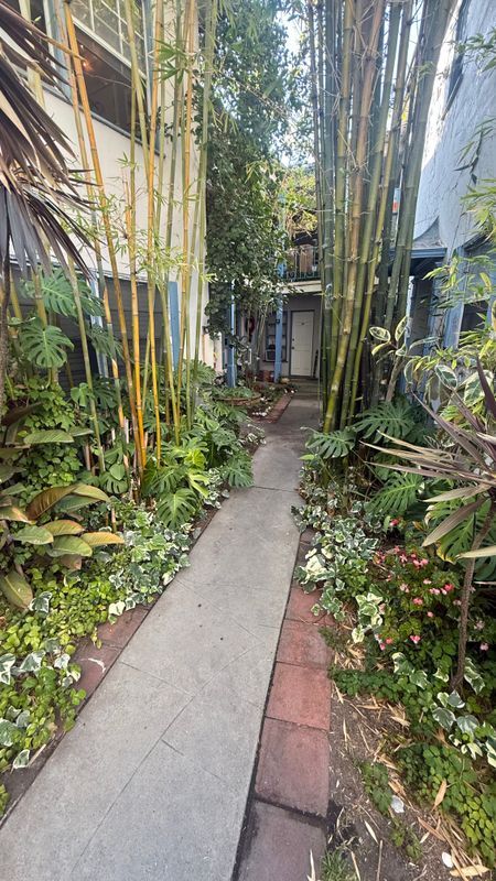 Photo - 1701 Nichols Canyon Rd