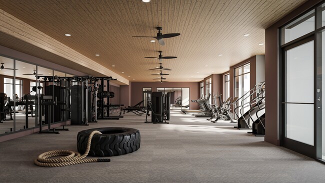 LivanoCary_Fitness_v1 - Livano Cary