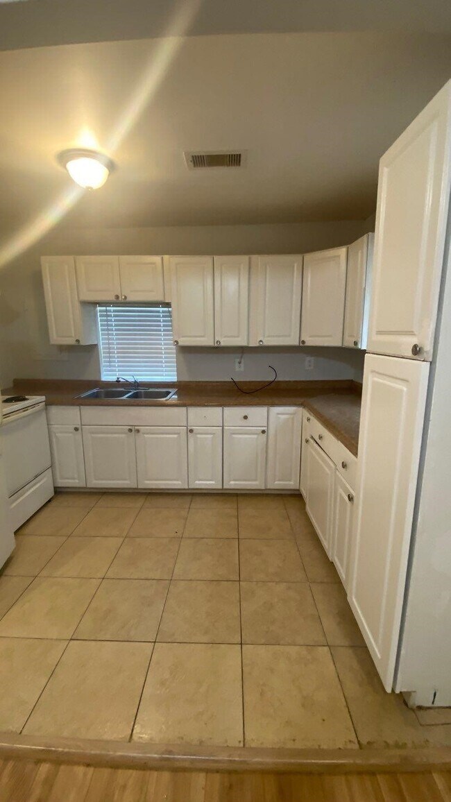 Photo - 1918 Oleander