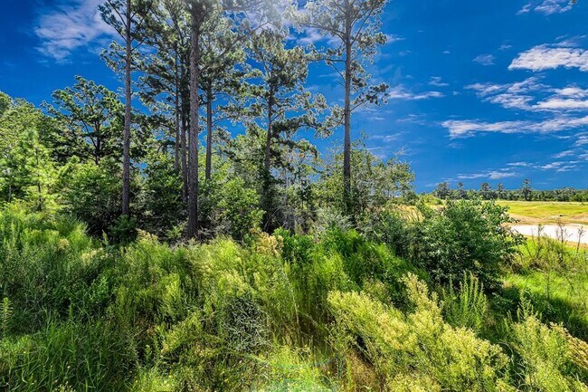 Photo - 7138 Clearwater Cv Dr