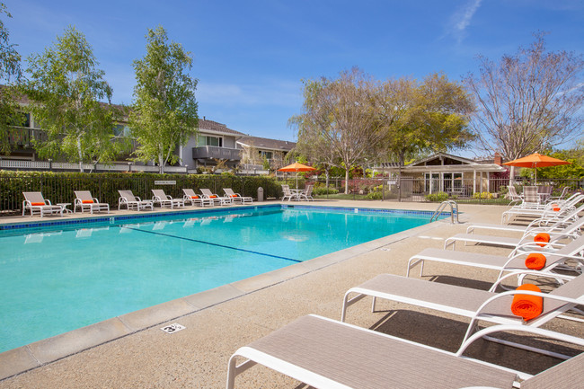 Large Resort-Style Pool