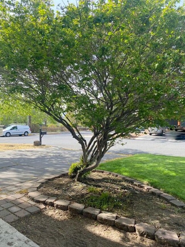 Photo - Wonderful home on large corner fenced lot in desired mid-town with views!