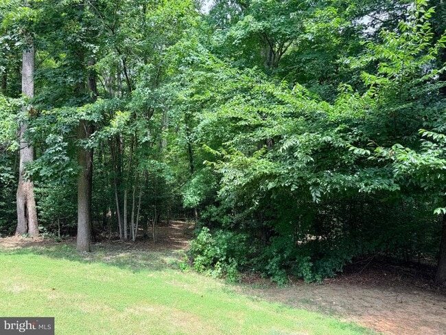 Photo - 278 Richland Rd