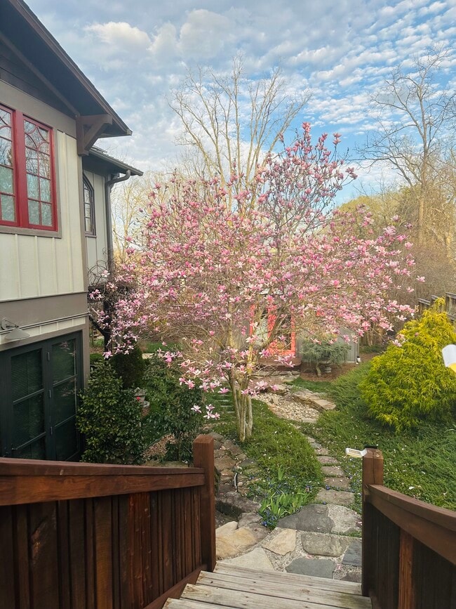 Building Photo - 100 Nevada Ave Unit Studio 3