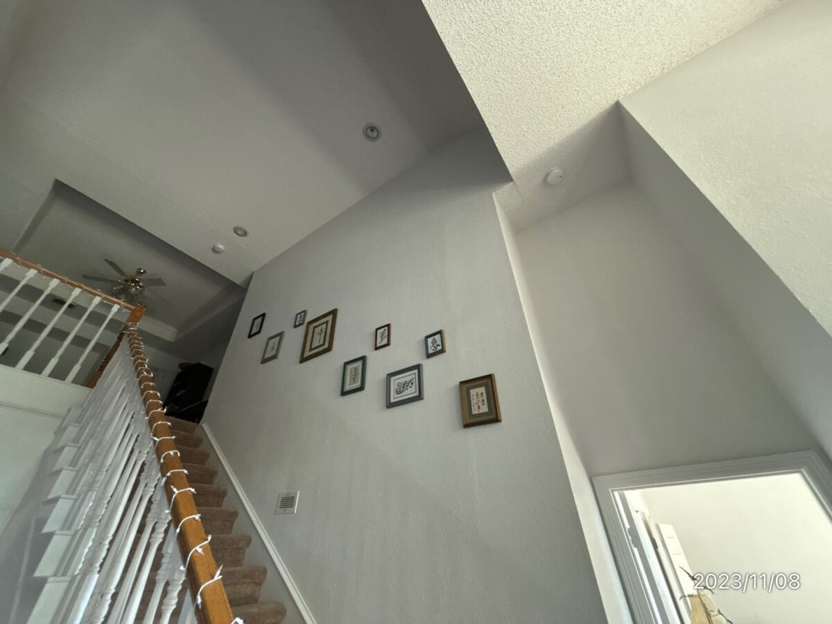 Photo - 3101 Crickett Dr