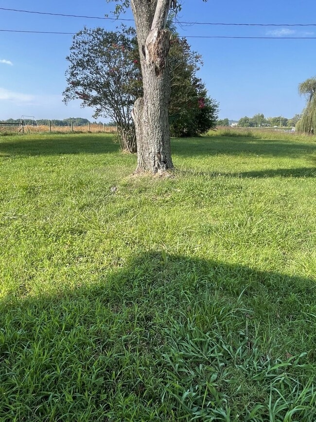Photo - 5096 Battlefield Rd