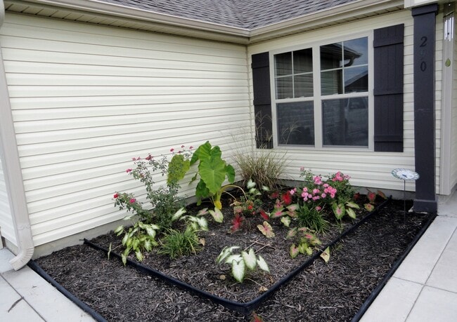 Photo - Close to Everything!