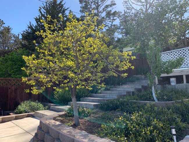 Photo - 251 Amador Ave Unit 251A