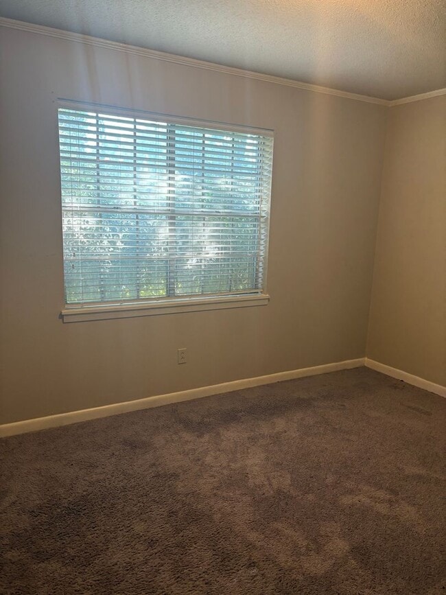 Photo - GREAT SOUTH BOSSIER HOME