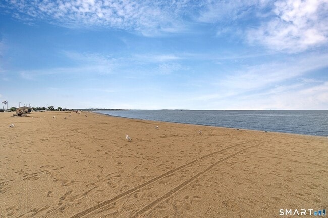 Photo - 115 Short Beach Rd