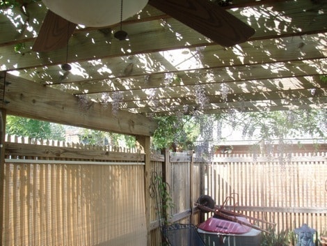 Building Photo - Sunny 3 BR / 2 BA Beautiful Home in Museum...