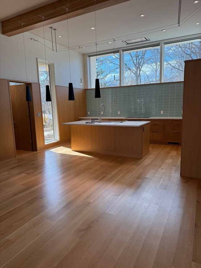 Photo - Silver Maple Stunning